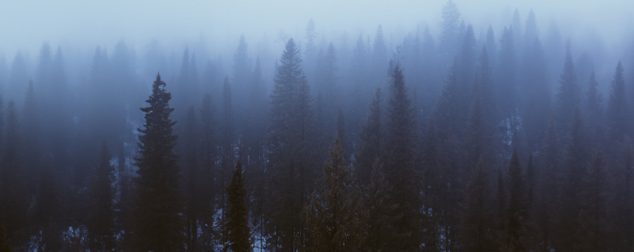 Winter Seat Sale 2026